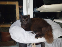 /album/14-03-2026/whatsapp-image-2026-03-13-at-22-11-27-jpeg/